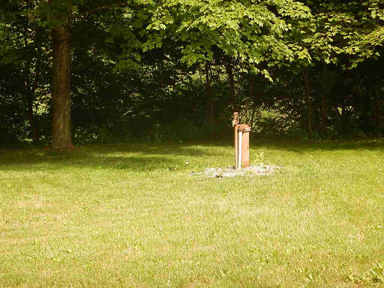2571 Rileyville Road Rileyville, VA 22650 - Photo 26 of 28 a small yard with a trees