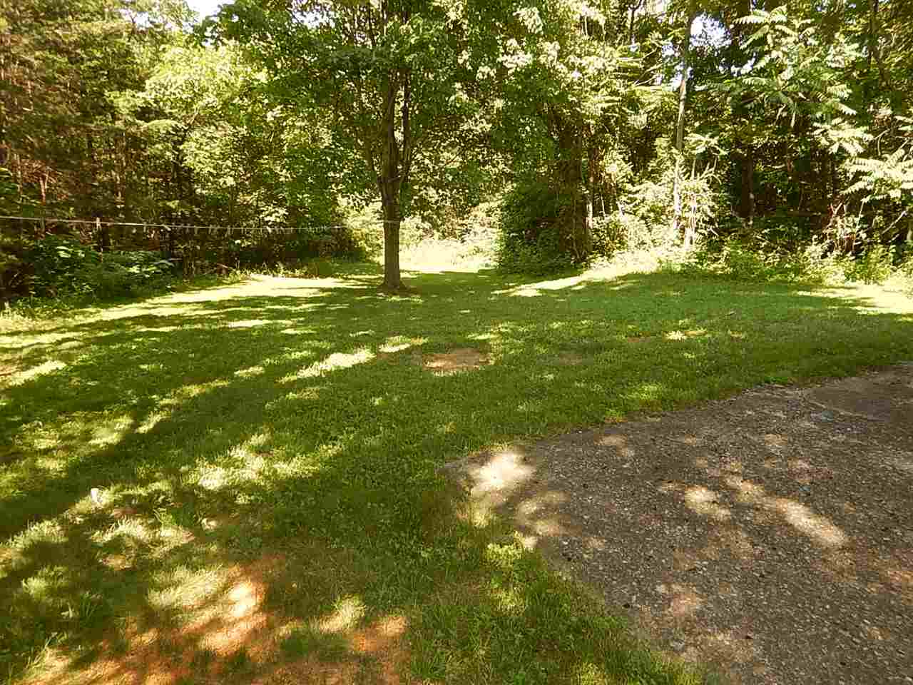 2571 Rileyville Road Rileyville, VA 22650 - Photo 27 of 28 a view of a trees with a yard