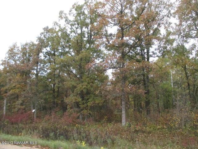 Tbd Sumac Road Northeast Bemidji, MN 56601 - Photo 1 of 1 Gallery Image 1