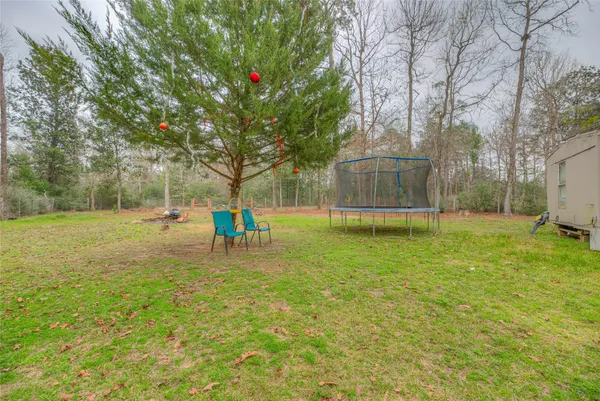a view of a park with a tree