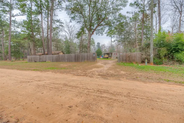 a view of a yard with a tree