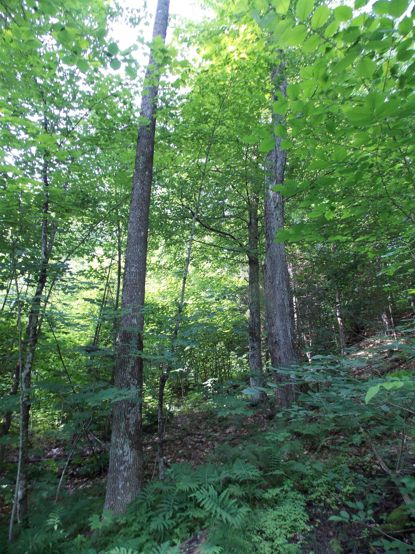 939 U S Route 5 Sutton, VT 05867 - Photo 17 of 23