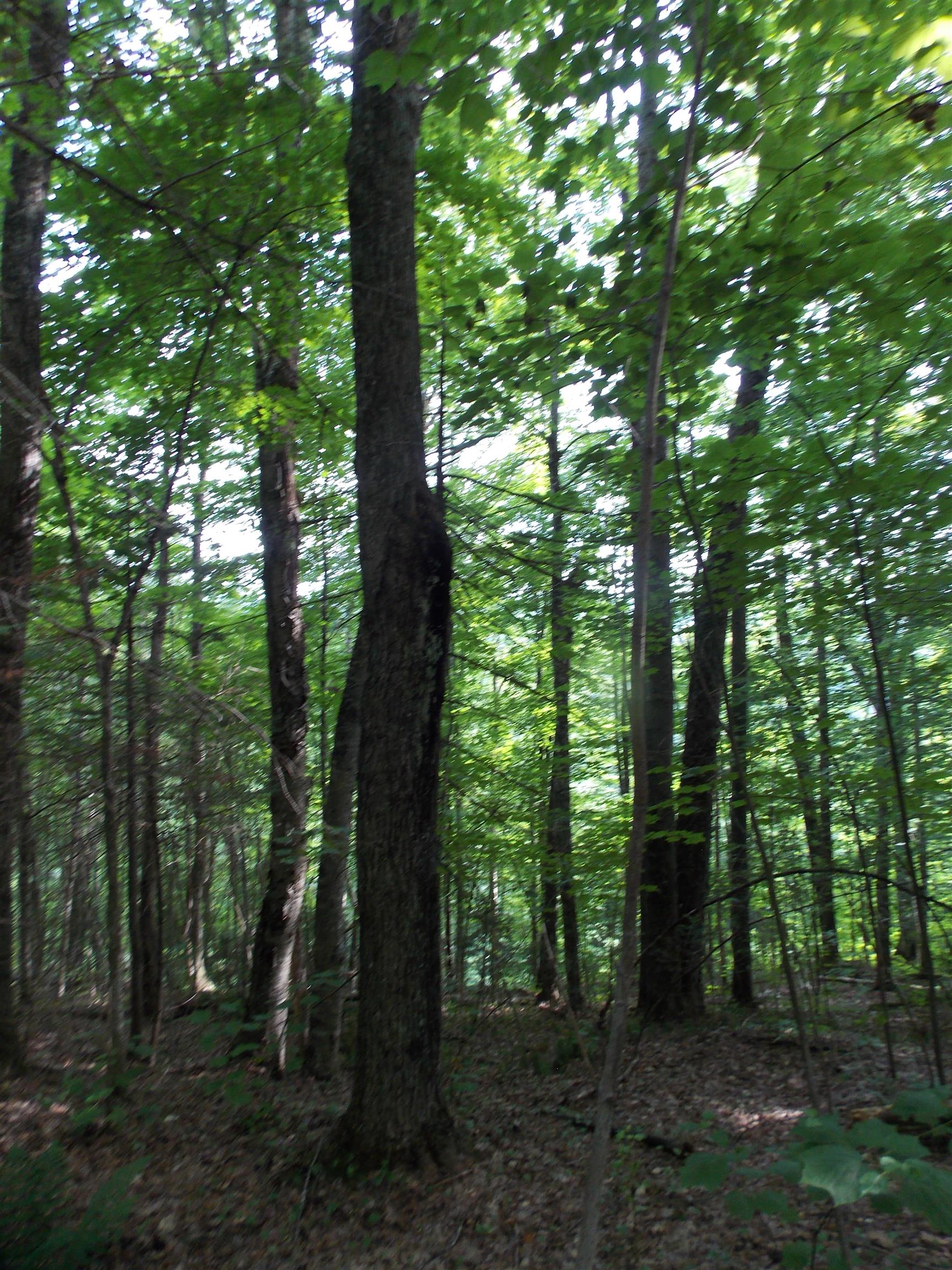 939 U S Route 5 Sutton, VT 05867 - Photo 18 of 23