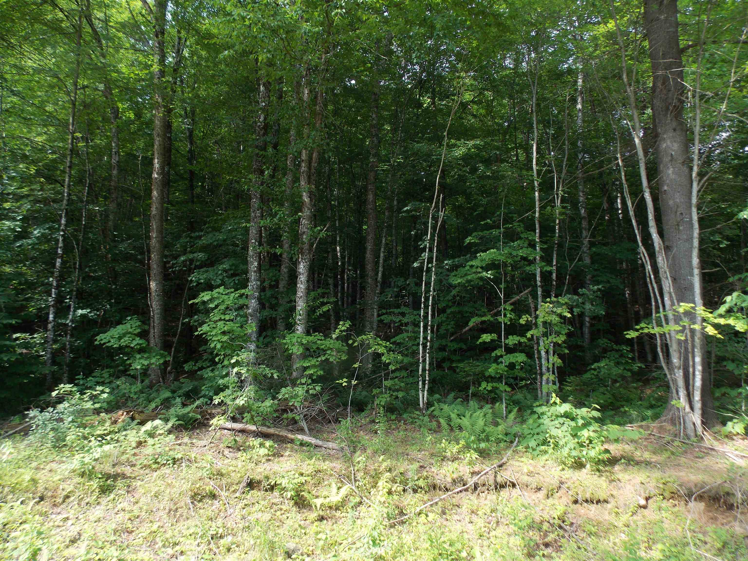 939 U S Route 5 Sutton, VT 05867 - Photo 20 of 23