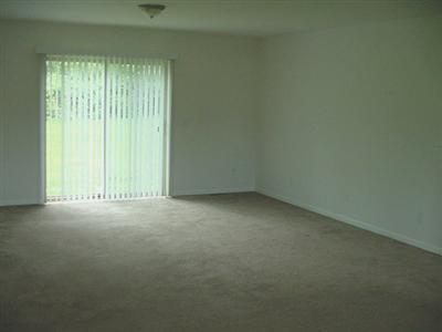14911 Woodbridge Road Camden, MI 49232 - Photo 3 of 13 Additional Photo