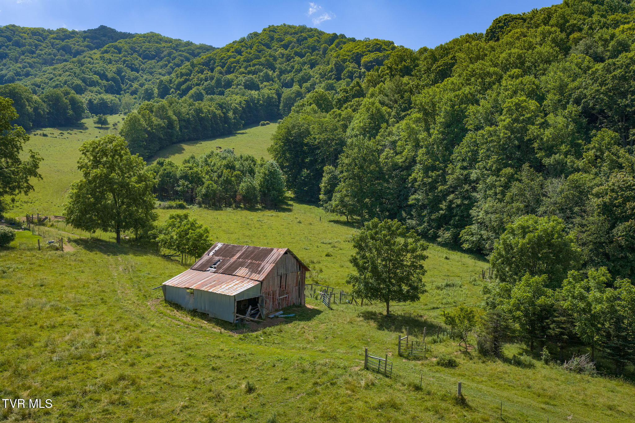 120 Teaberry Road Roan Mountain, TN 37687 - Photo 13 of 56 12-web-or-mls-DJI_20260612111726_0244_D