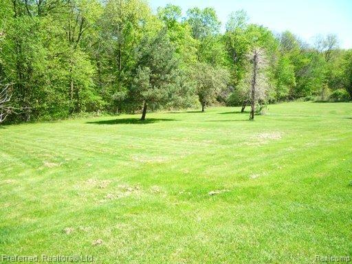 3860 Napier Road Canton, MI 48187 - Photo 2 of 2 Napier Rd 005