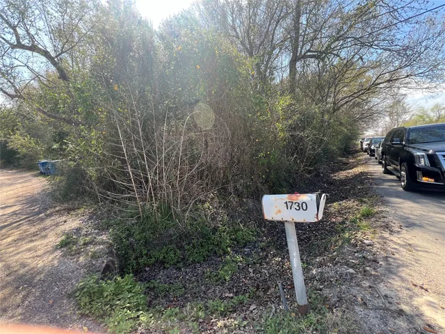 a view of a street with trees and bushes