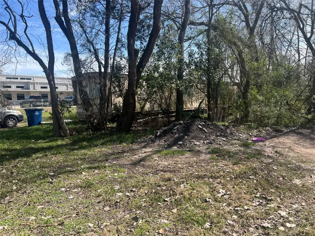 a view of a tree in a yard