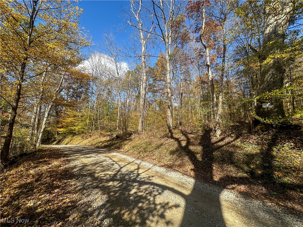 0 Clark Road Cutler, OH 45724 - Photo 16 of 26 View of road with a wooded view