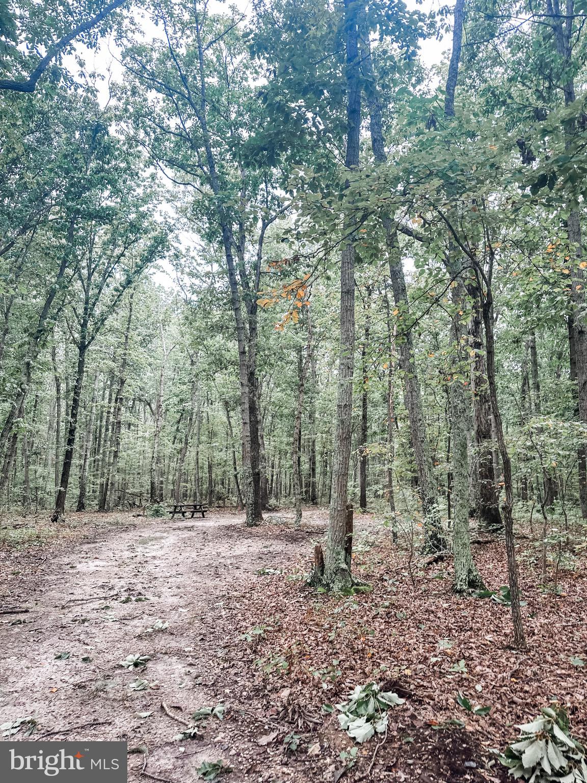 Lot 97 Independence Unionville, VA 22567 - Photo 1 of 4