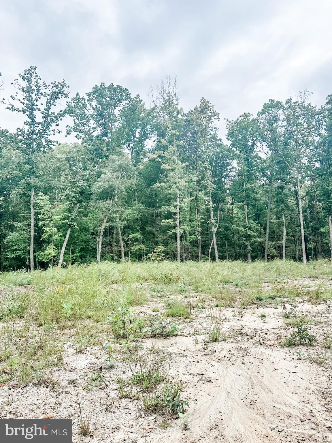Lot 97 Independence Unionville, VA 22567 - Photo 2 of 4