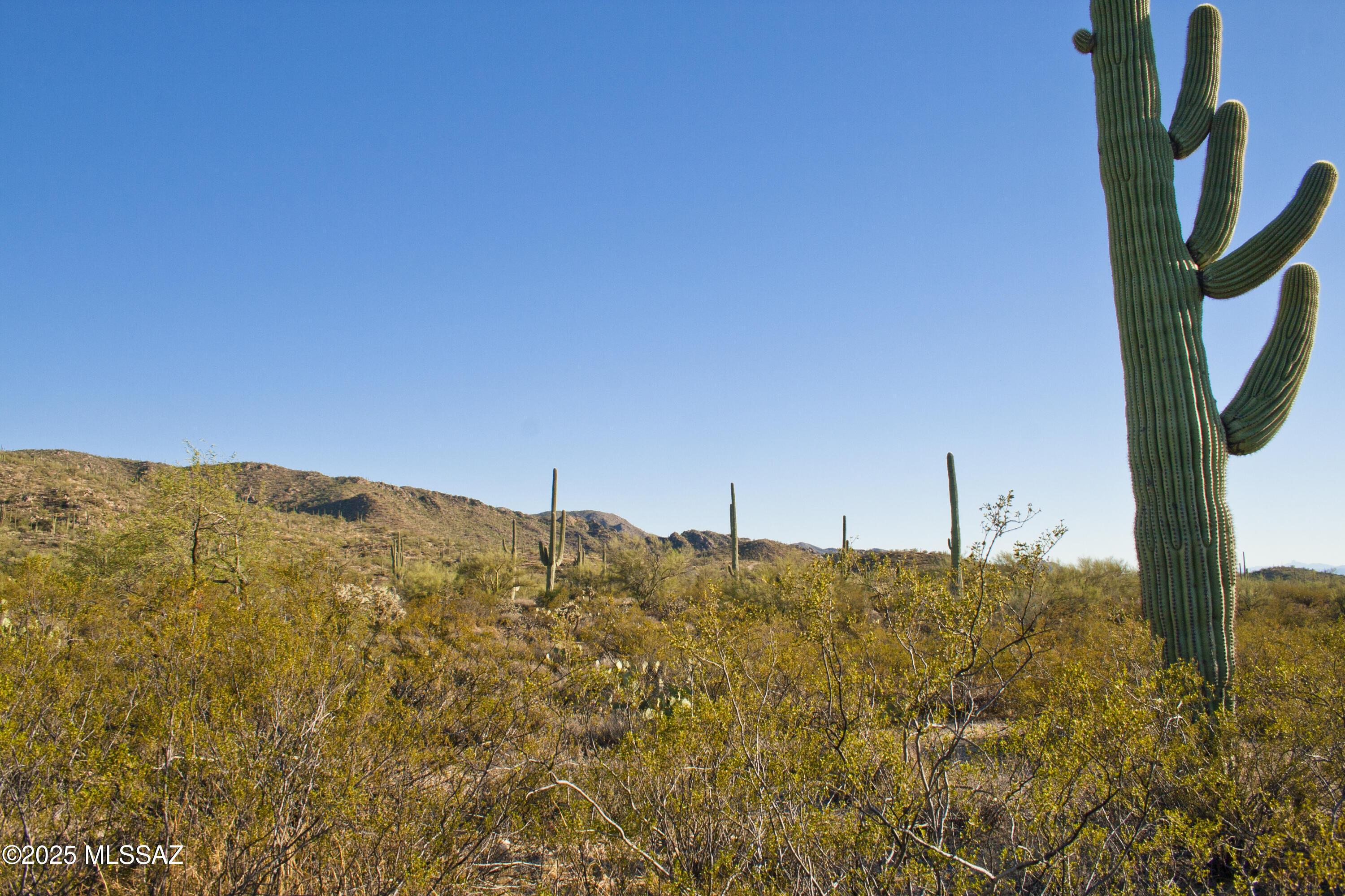 0 Silverian Road Marana, AZ 85658 - Photo 6 of 32