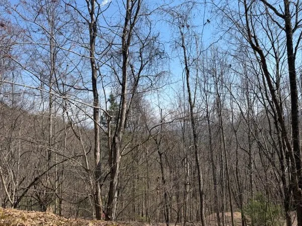 $27,000 | Lot 16 Laurel Mountain, Brasstown, NC 28902