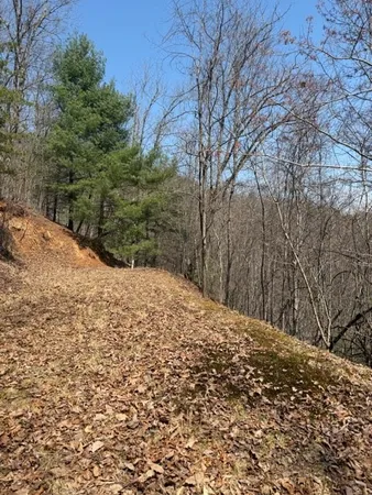 $27,000 | Lot 16 Laurel Mountain, Brasstown, NC 28902