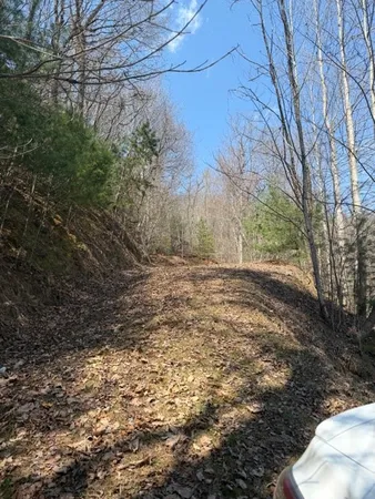 $27,000 | Lot 16 Laurel Mountain, Brasstown, NC 28902