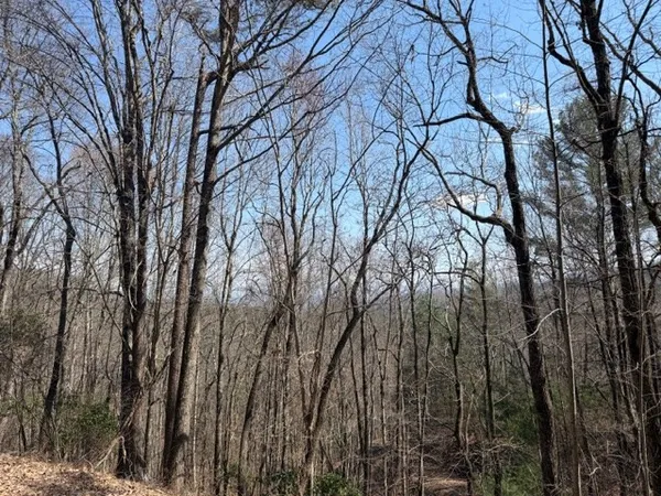 $27,000 | Lot 16 Laurel Mountain, Brasstown, NC 28902