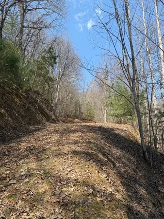 $27,000 | Lot 16 Laurel Mountain, Brasstown, NC 28902
