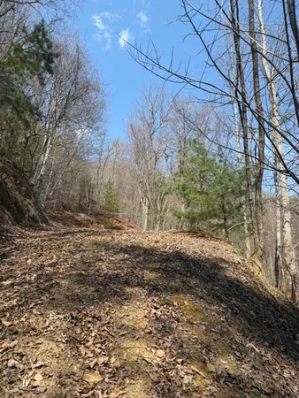 $27,000 | Lot 16 Laurel Mountain, Brasstown, NC 28902
