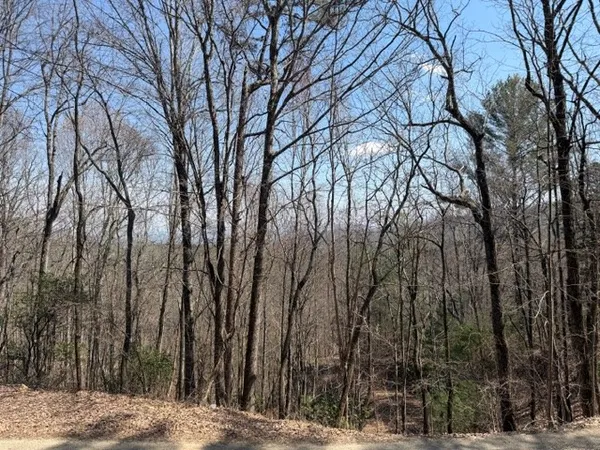 $27,000 | Lot 16 Laurel Mountain, Brasstown, NC 28902