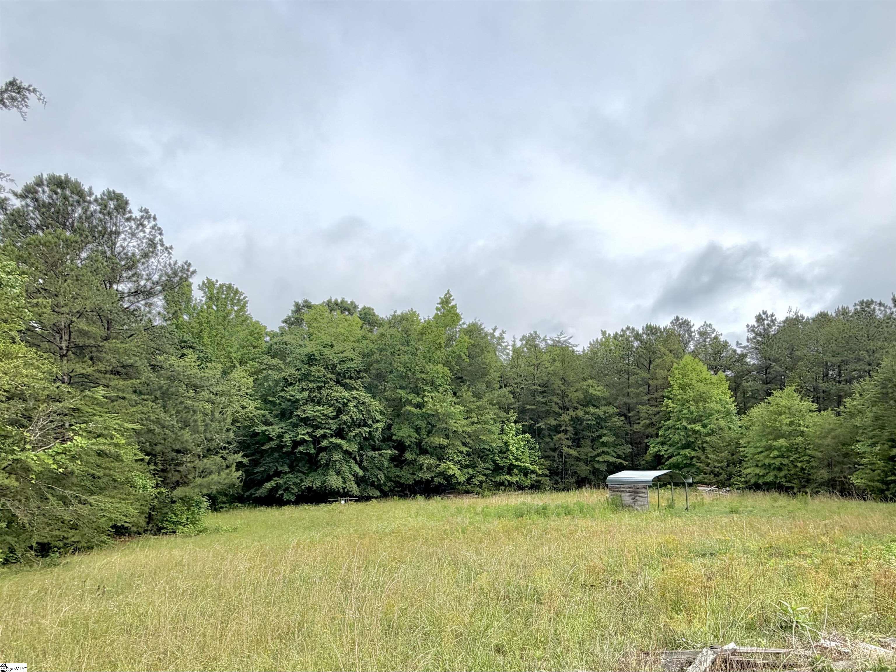 588 State Rd S-30-255 Gray Court, SC 29645 - Photo 27 of 30
