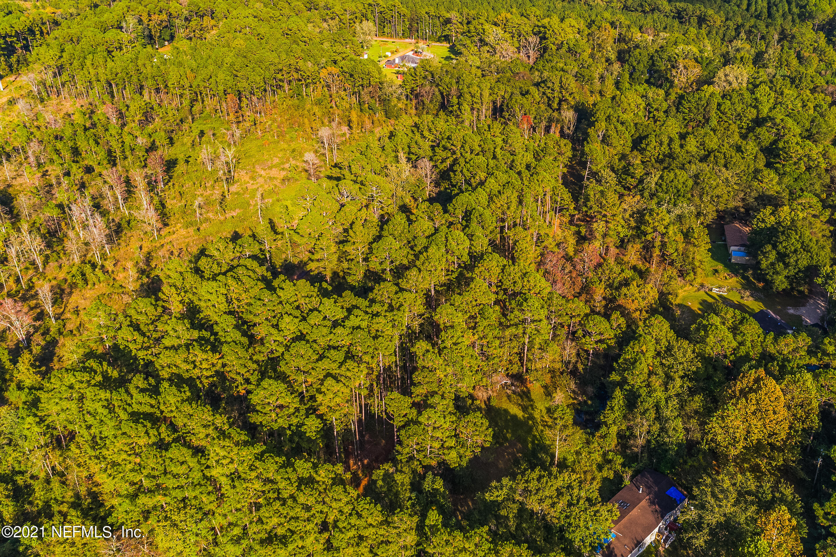 0 Key Lane Callahan, FL 32011 - Photo 4 of 13 a view of a yard