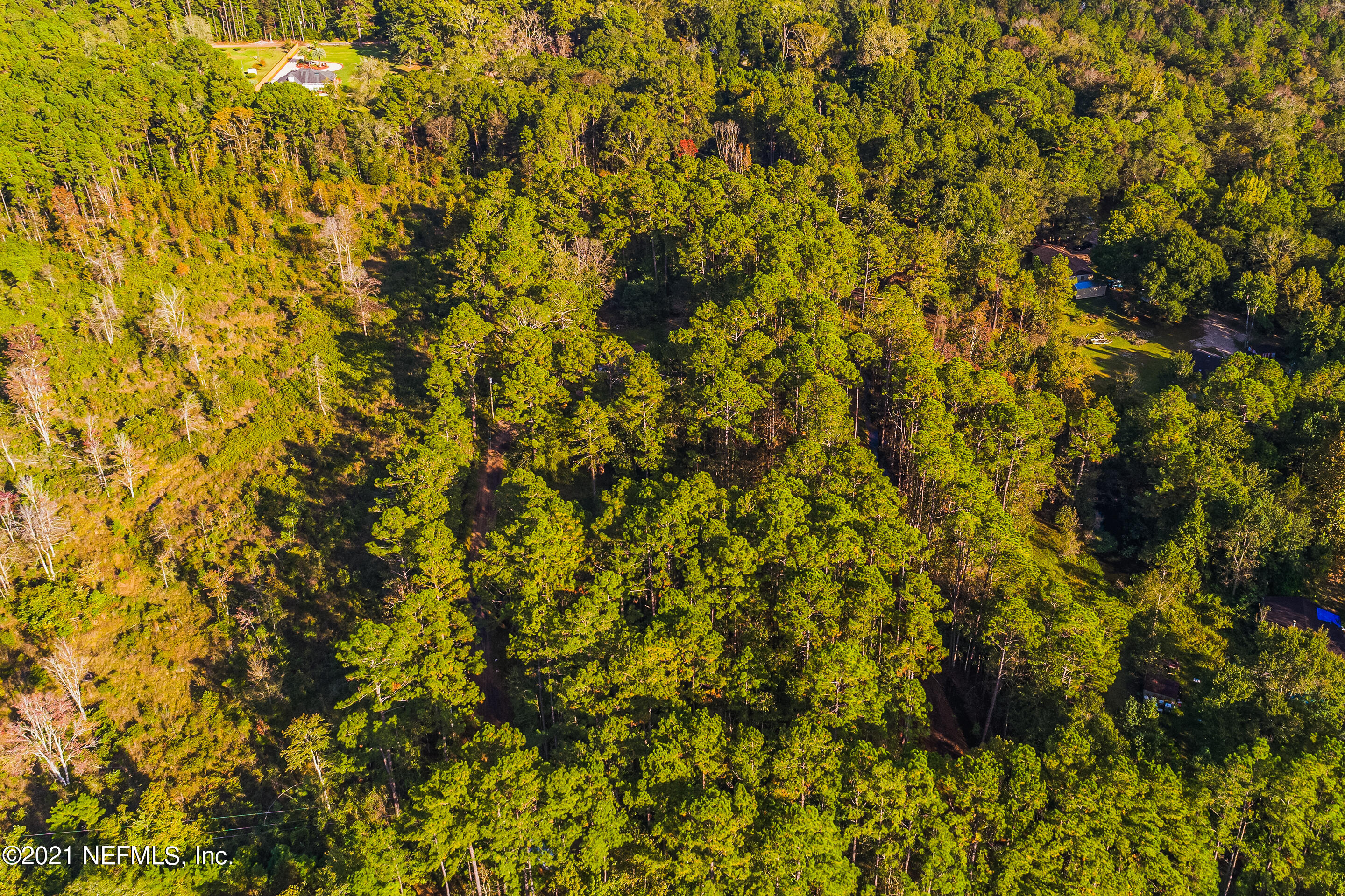 0 Key Lane Callahan, FL 32011 - Photo 5 of 13 a view of a yard