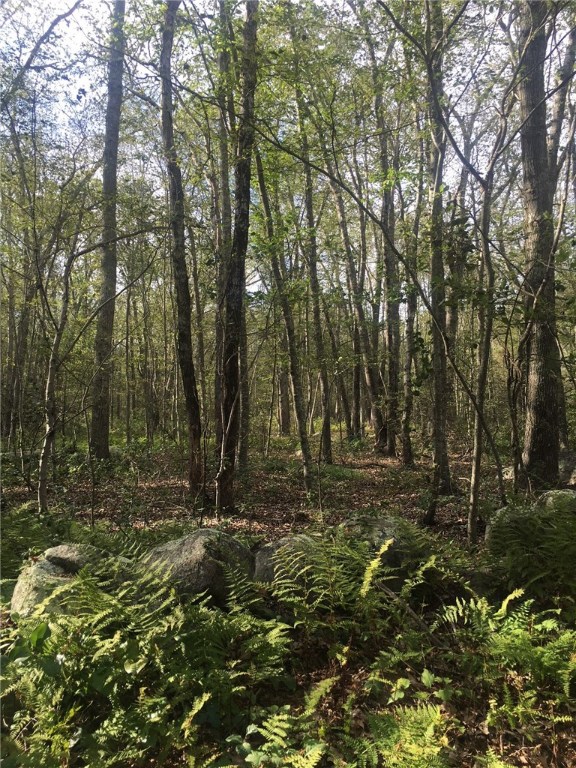 0 Dye Hill Road Hope Valley, RI 02832 - Photo 3 of 5 Gallery Image 3