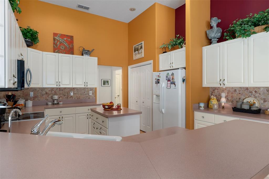 10081 Georgetown Court Weeki Wachee, FL 34613 - Photo 19 of 76