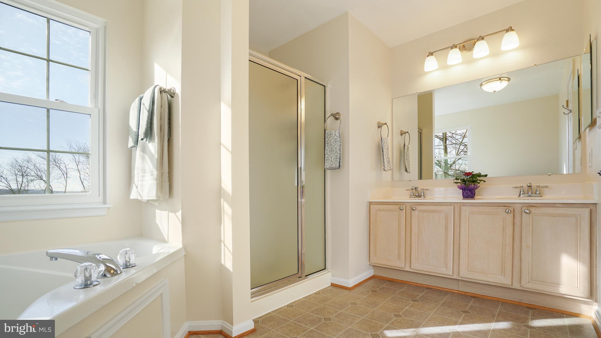 949 Firestone Road Westminster, MD 21158 - Photo 19 of 30 Sun Filled Master Bath with Soaking Tub