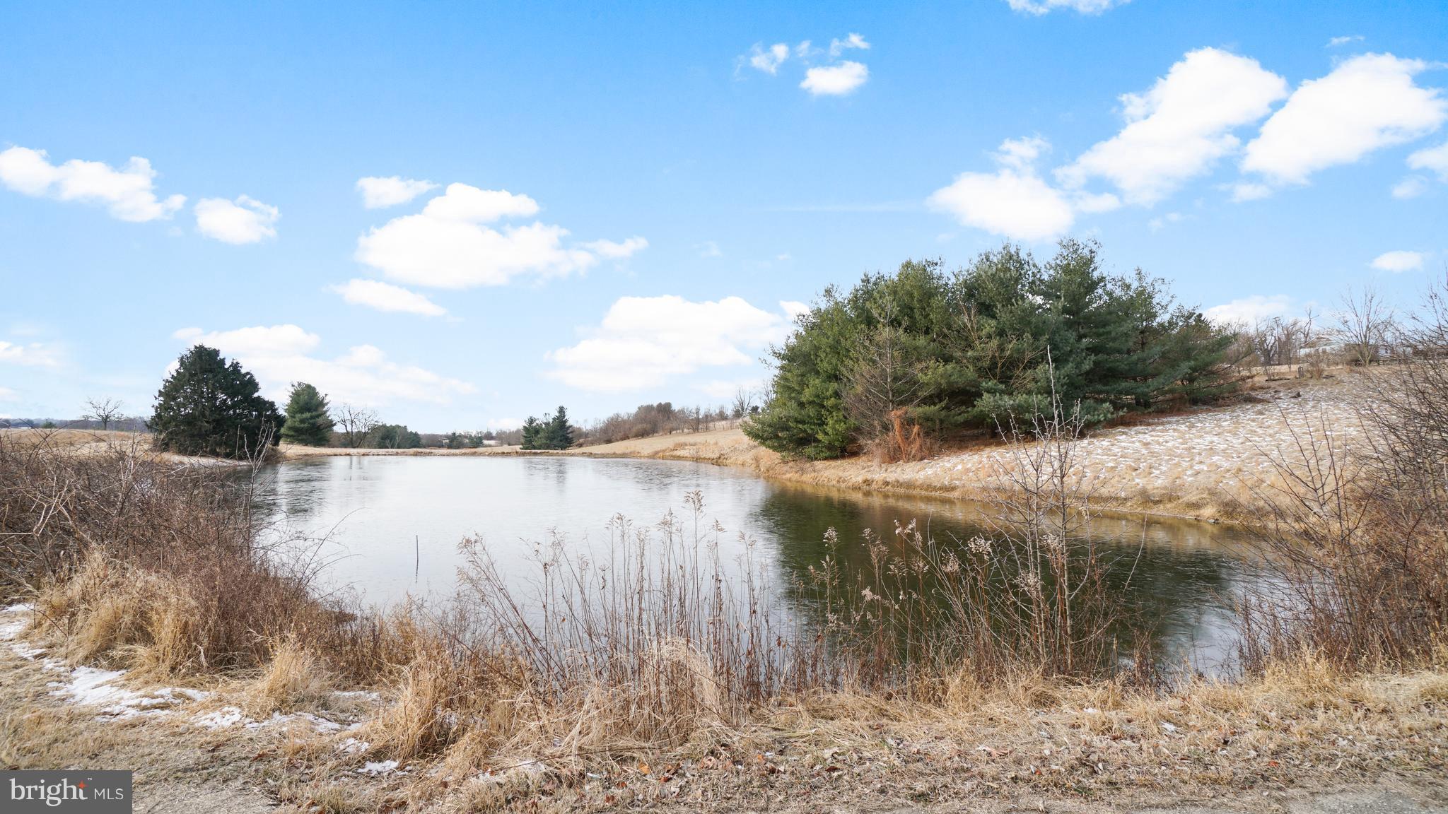949 Firestone Road Westminster, MD 21158 - Photo 28 of 30 Pond on the adjacent 185 acre property