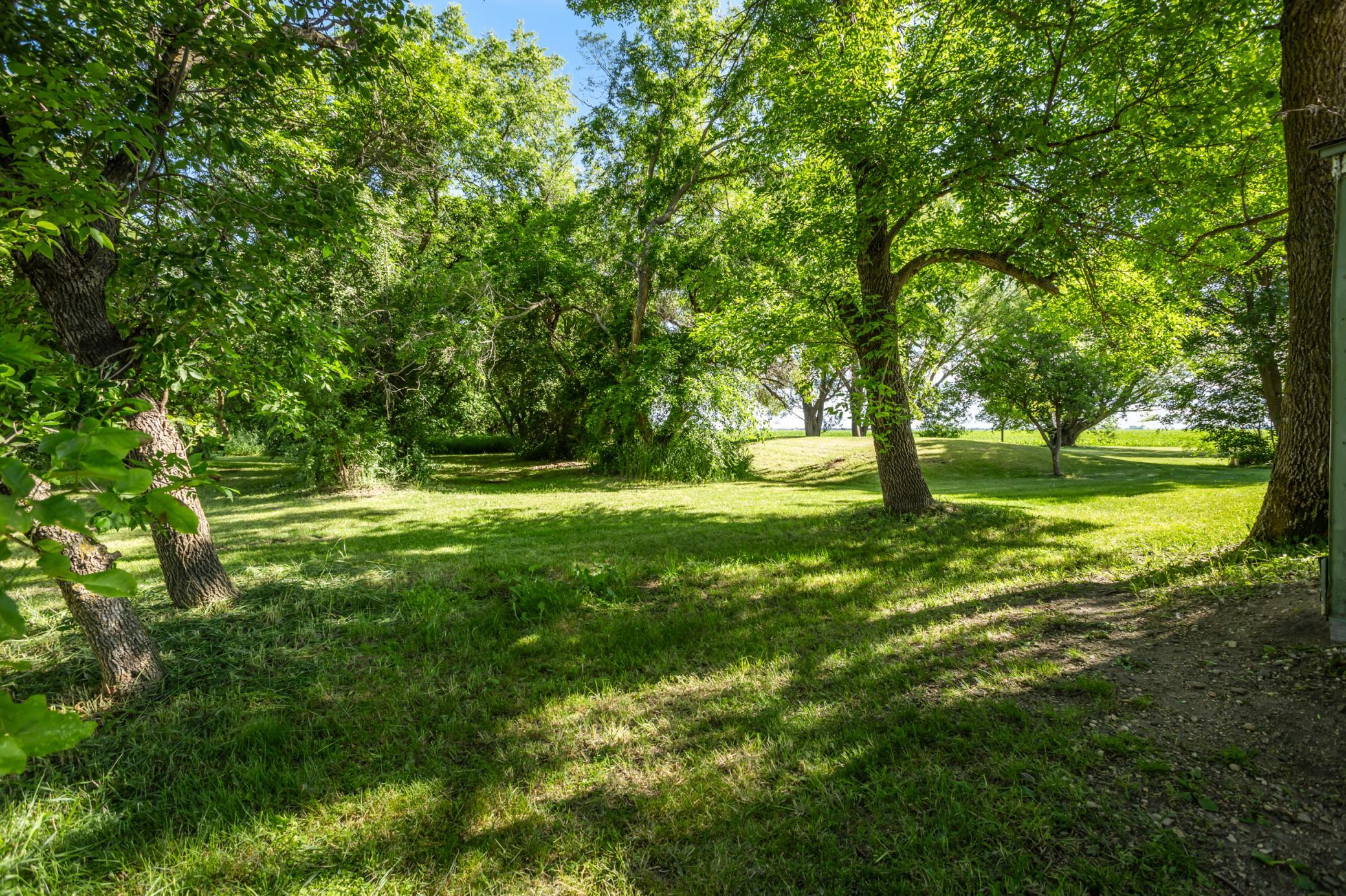 2472 360th Street Breckenridge, MN 56520 - Photo 41 of 51