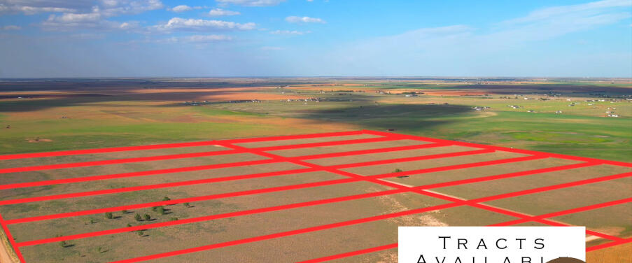 a view of swimming pool and an outdoor space