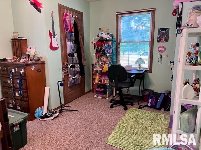 17064 East Thompson Road Opdyke, IL 62872 - Photo 13 of 24 Gallery Image 13