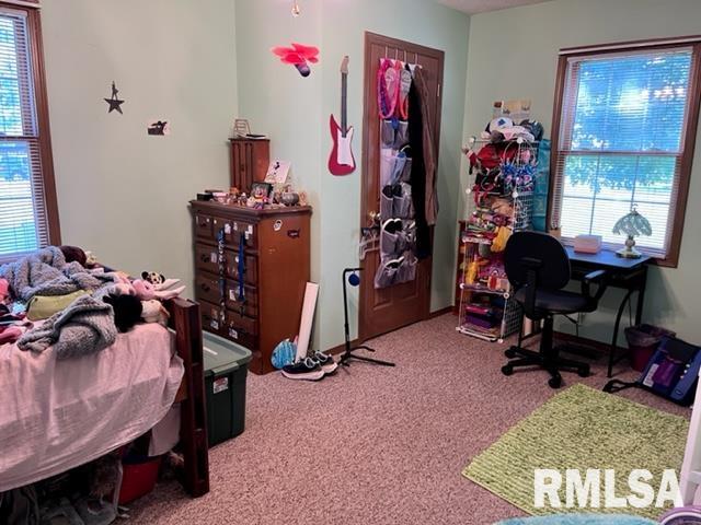 17064 East Thompson Road Opdyke, IL 62872 - Photo 14 of 24 Gallery Image 14