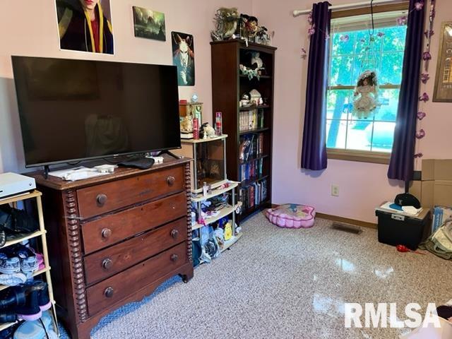17064 East Thompson Road Opdyke, IL 62872 - Photo 15 of 24 Gallery Image 15