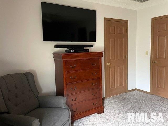 17064 East Thompson Road Opdyke, IL 62872 - Photo 16 of 24 Gallery Image 16