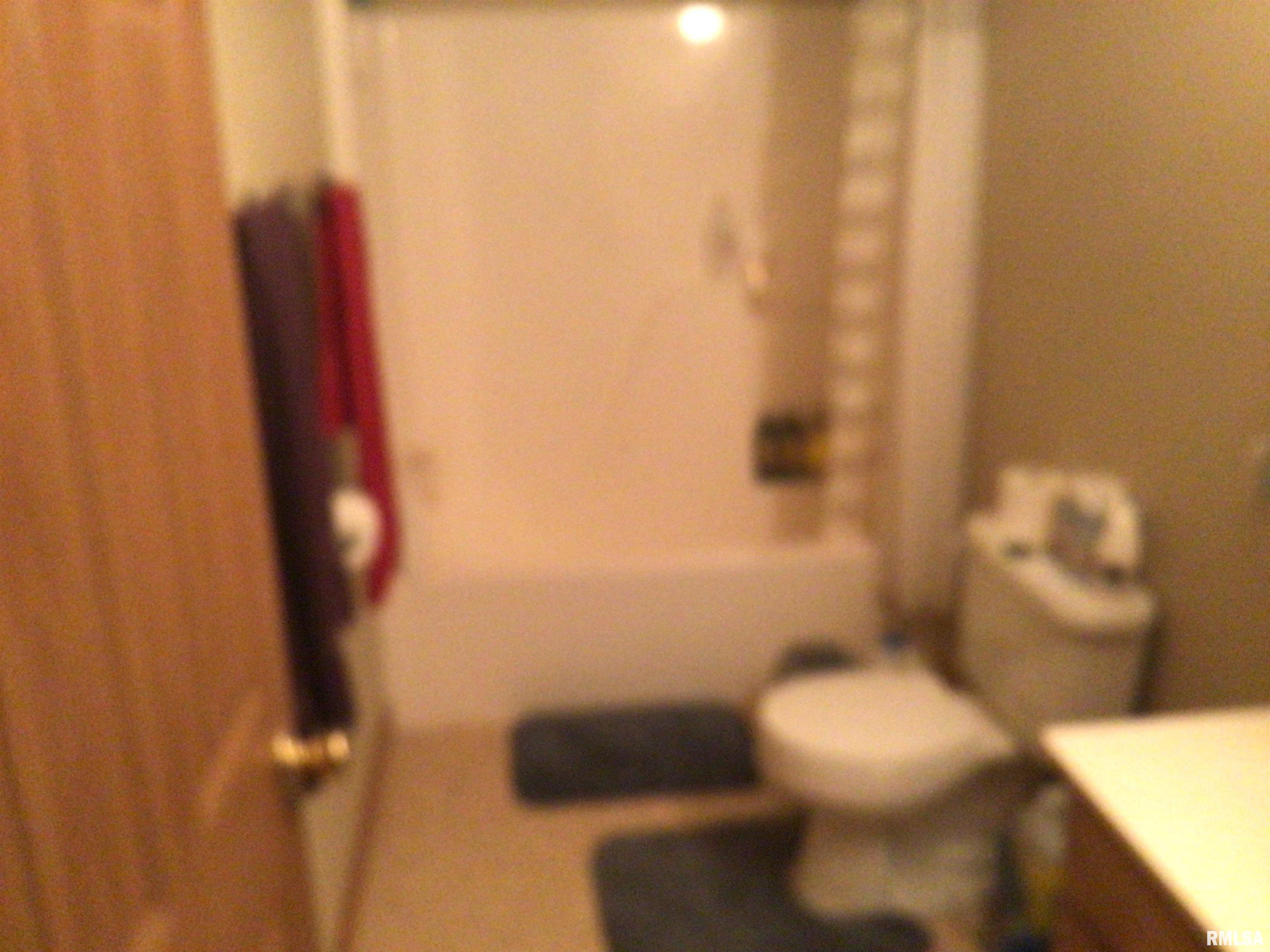 17064 East Thompson Road Opdyke, IL 62872 - Photo 17 of 24 Gallery Image 17