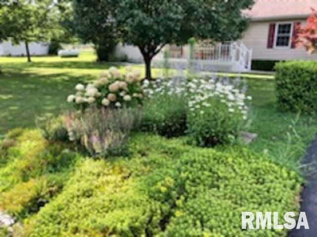 17064 East Thompson Road Opdyke, IL 62872 - Photo 19 of 24 Gallery Image 19