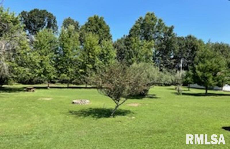 17064 East Thompson Road Opdyke, IL 62872 - Photo 20 of 24 Gallery Image 20