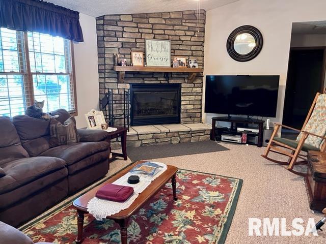 17064 East Thompson Road Opdyke, IL 62872 - Photo 3 of 24 Gallery Image 3