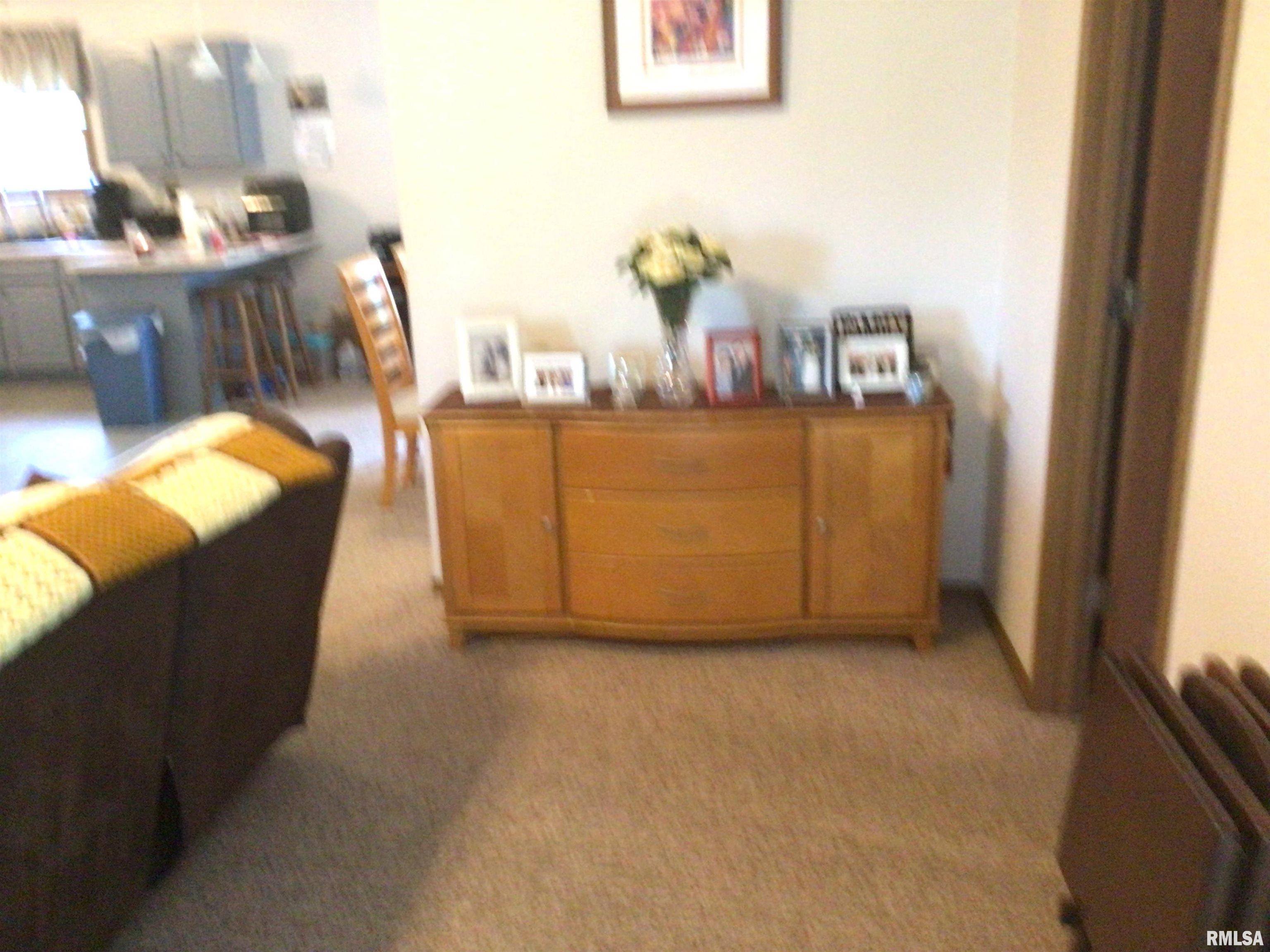 17064 East Thompson Road Opdyke, IL 62872 - Photo 4 of 24 Gallery Image 4