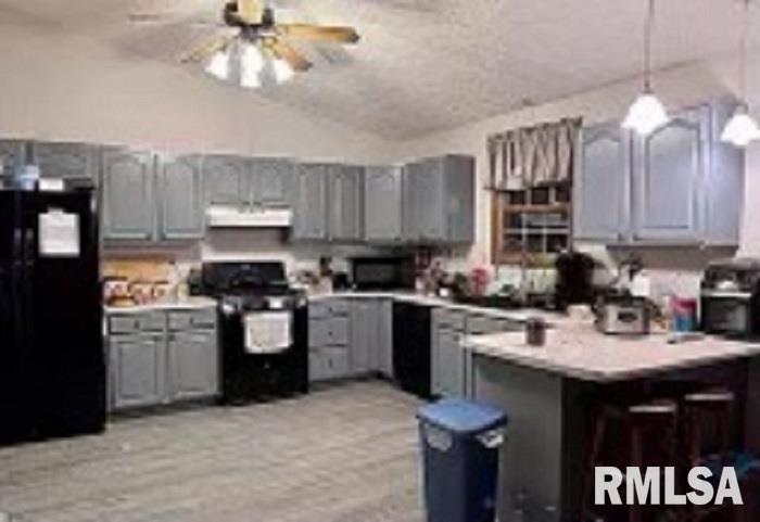 17064 East Thompson Road Opdyke, IL 62872 - Photo 6 of 24 Gallery Image 6