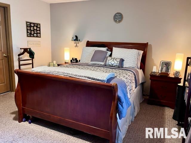 17064 East Thompson Road Opdyke, IL 62872 - Photo 9 of 24 Gallery Image 9