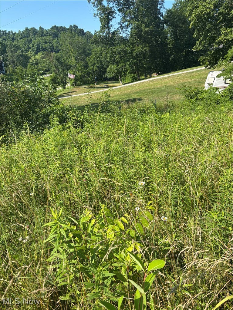 Everly Road Sarahsville, OH 43779 - Photo 20 of 20 View of local wilderness