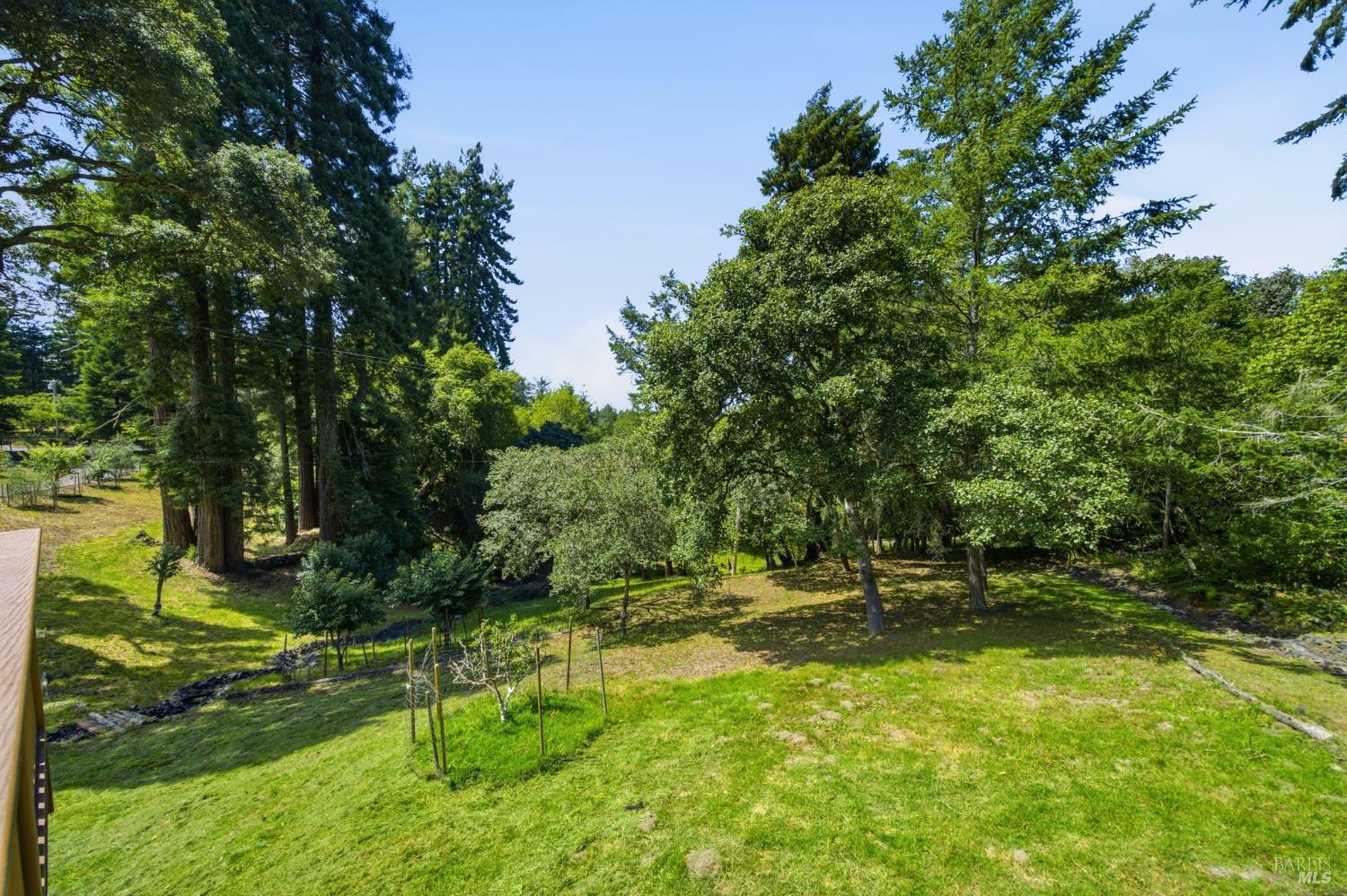 10960 Barnett Valley Road Sebastopol, CA 95472 - Photo 35 of 47