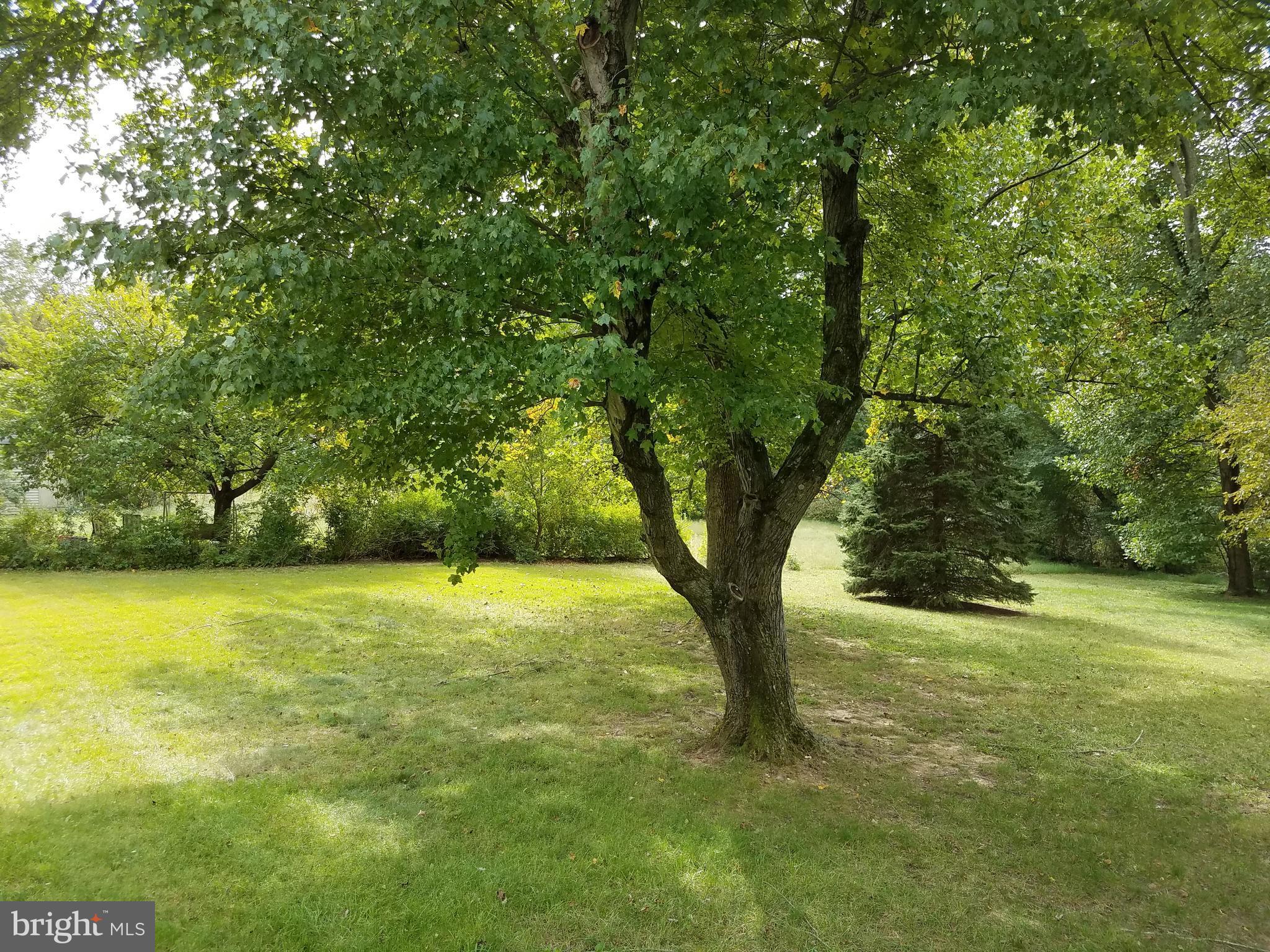 8720 Crest Road Severn, MD 21144 - Photo 21 of 26 View