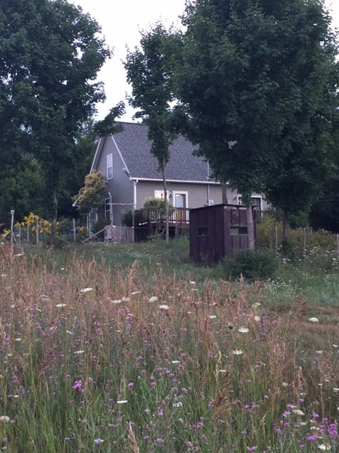 8795 Austin Road Bellaire, MI 49615 - Photo 45 of 54 1848410-55.JPG