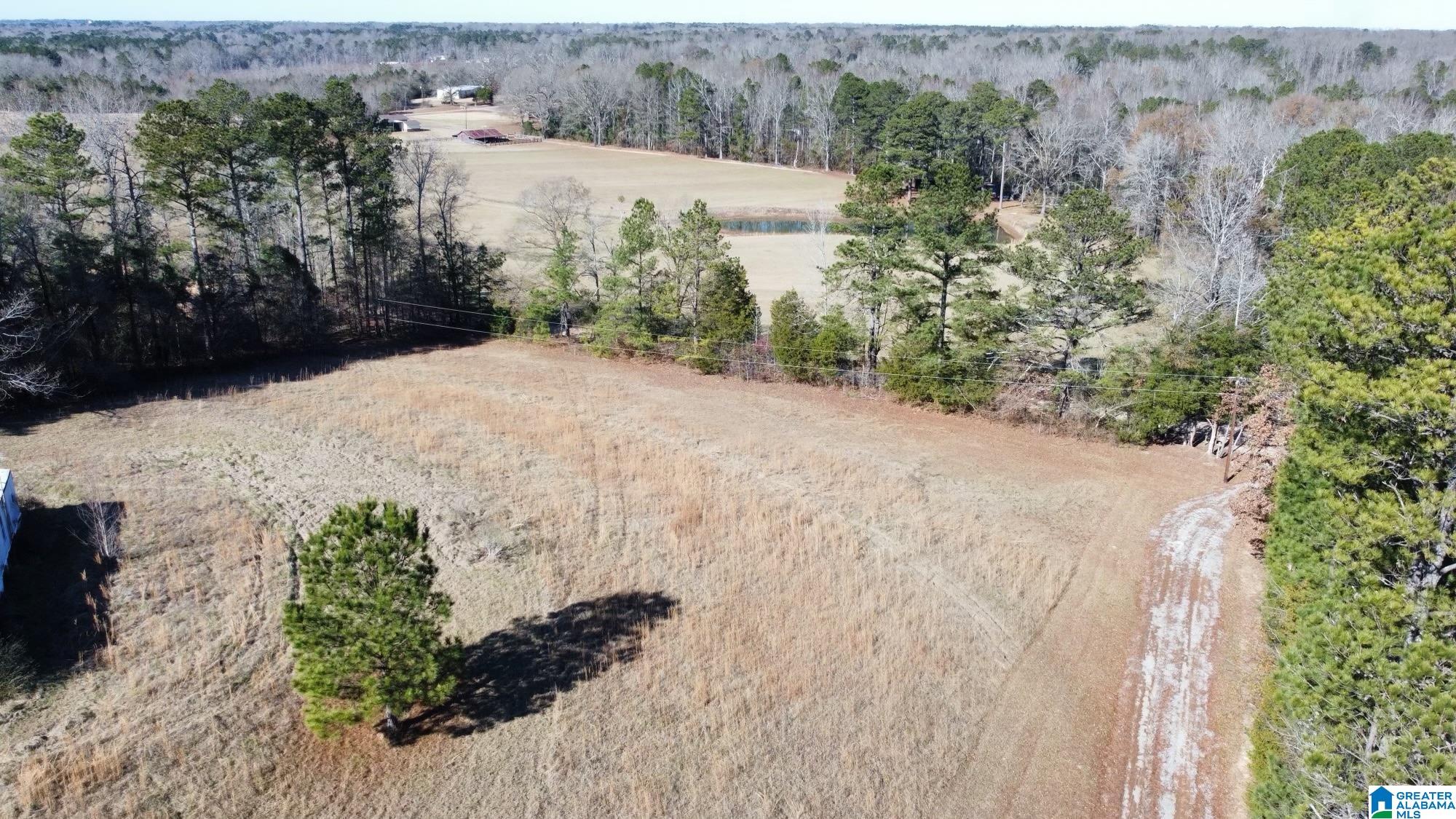 40 County Road 494 Verbena, AL 36091 - Photo 10 of 16