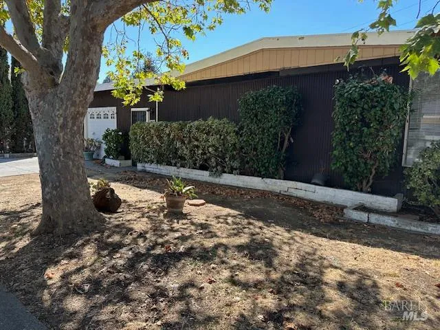 a view of a yard with plants and trees
